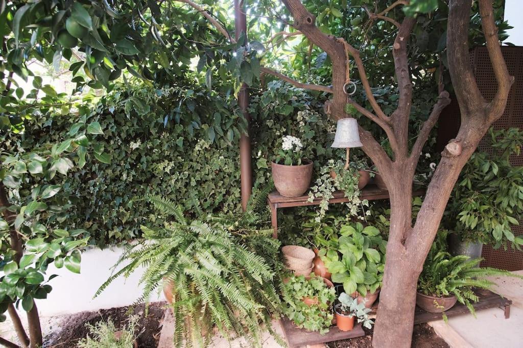 La Casa Del Jardin Villa Канделеда Екстериор снимка
